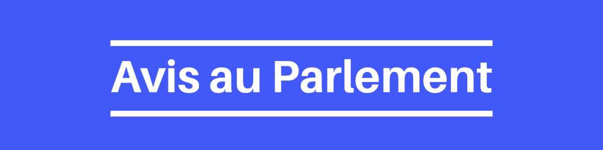 Avis sur la proposition de loi “visant à lutter contre les discriminations  par la pratique de tests individuels et statistiques”